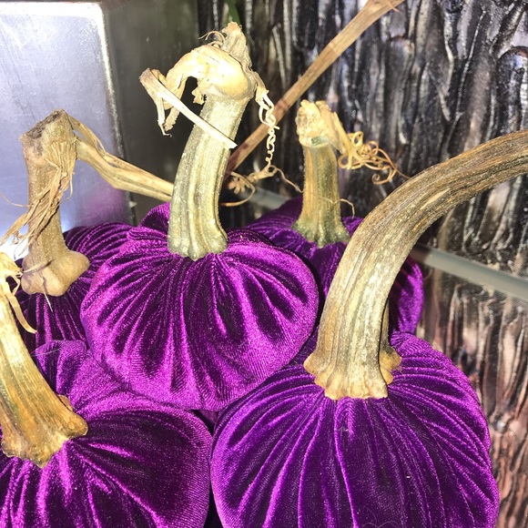 Velvet pumpkins - Picture 3 of 5